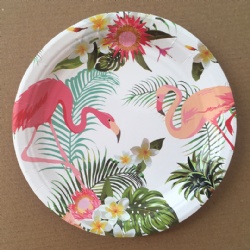 Disposable birthday Party Dinnerware bird Paper Plates