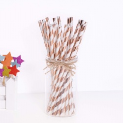 Promotional Friendly Colorful Paper Straws