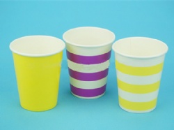 paper cup